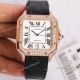 Iced Out Cartier Santos 100 Watches Citizen 8215 Yellow Gold (2)_th.jpg